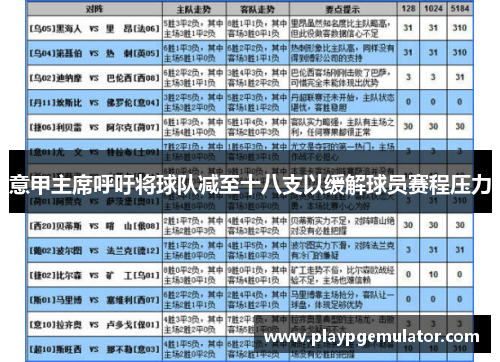 意甲主席呼吁将球队减至十八支以缓解球员赛程压力