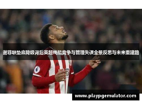 谢菲联垫底降级背后英超残酷竞争与管理失误全景反思与未来重建路 谢菲联垫底降级背后英超残酷竞争与管理失误全景反思与未来重建路